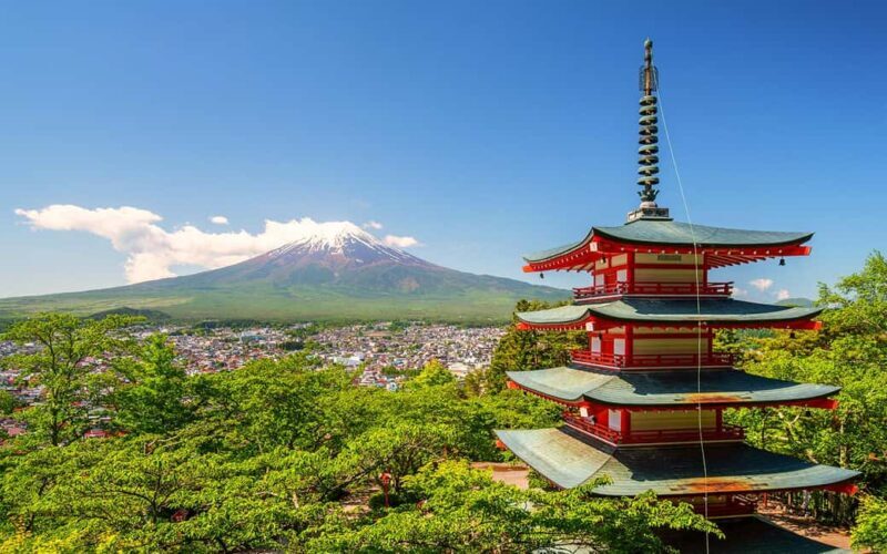 Tokyo: Mount Fuji Private Tour with Scenic Lunch Experience - Key Points