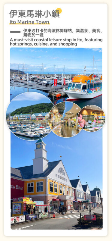 Tokyo: Mount Omuro & Jogasaki Coast Full-Day Guided Tour - Who should book this Izu day trip?