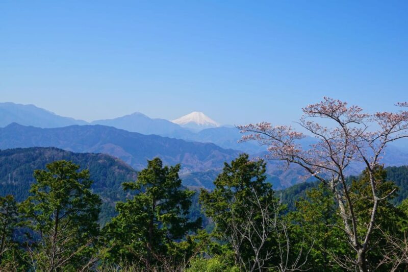 Tokyo: Mount Takao Guided Hiking Tour - Final Thoughts