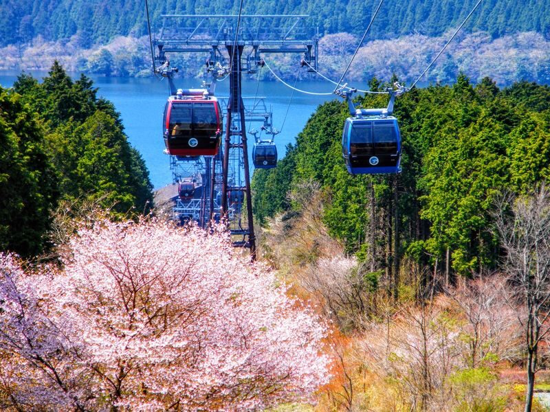 Tokyo Mt Fuji 5th St & Hakone Cruise Bus Tour w/Bullet Train return option - What this day trip offers