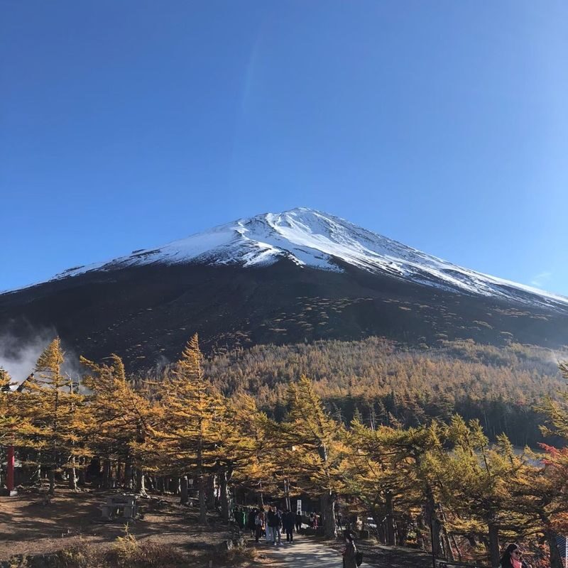 Tokyo Mt Fuji 5th St & Hakone Cruise Bus Tour w/Bullet Train return option - Mt. Fuji’s 5th Station: high views, if the road allows