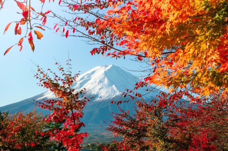 Tokyo: Mt. Fuji 5th Sta. & Autumn Festival Tour with lunch - How the Itinerary Works in Practice
