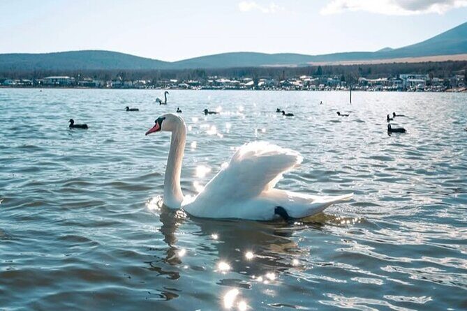 Tokyo Mt Fuji and Hakone Private Tour with English Driver - FAQ