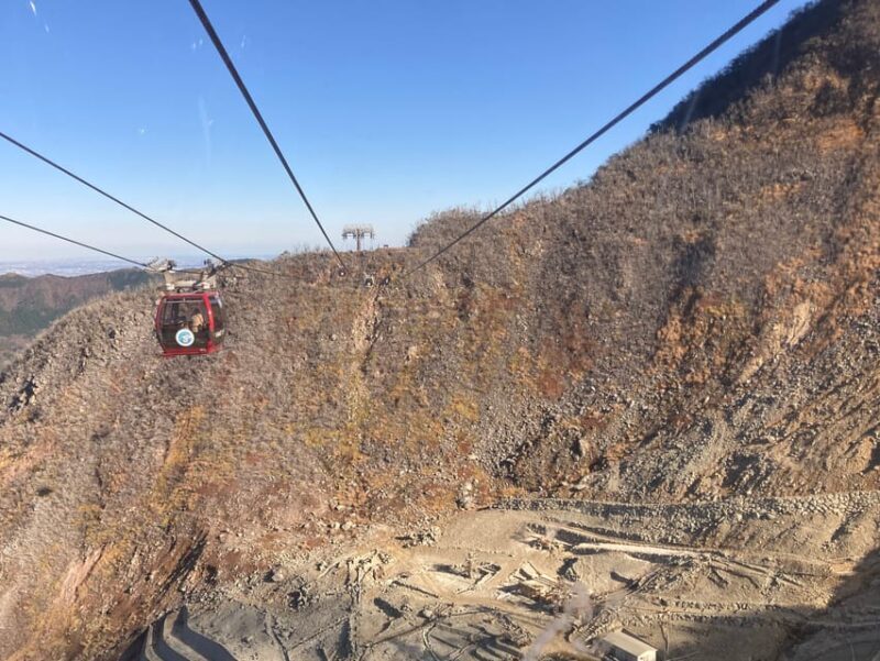 Tokyo: Mt. Fuji and Hakone Tour with Cable Car and Cruise - Frequently Asked Questions