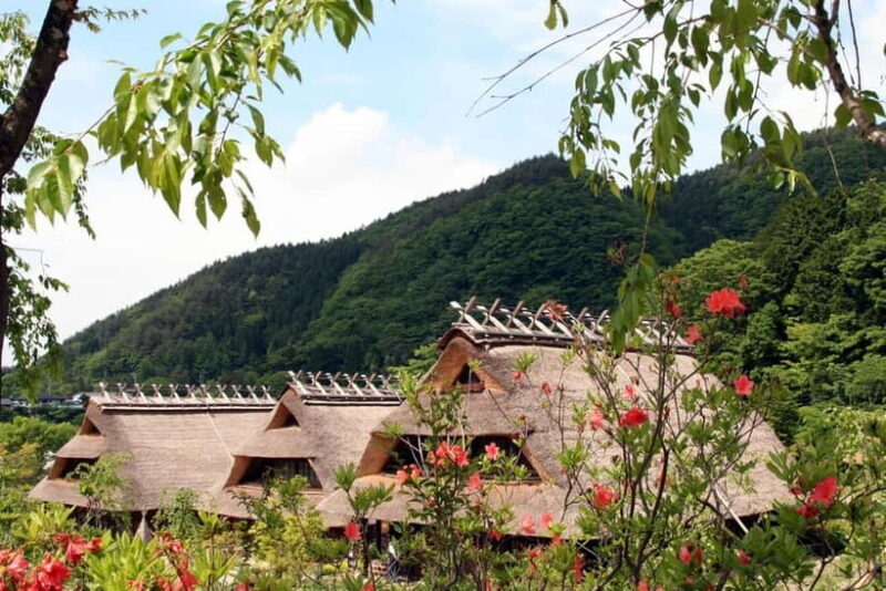 Tokyo: Mt.Fuji and Lake Kawaguchiko Tour with Lunch - A Detailed Look at the Tour Experience