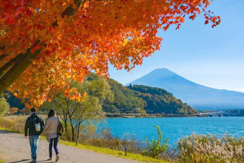 Tokyo: Mt.Fuji and Lake Kawaguchiko Tour with Lunch - Frequently Asked Questions