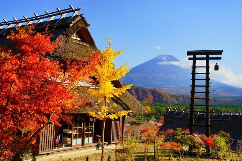 Tokyo: Mt. Fuji, Arakurayama Sengen Park, Oshino Hakkai Tour - Key Points