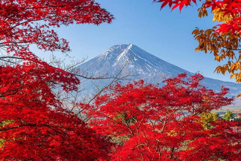 Tokyo: Mt. Fuji, Arakurayama Sengen Park, Oshino Hakkai Tour - An In-Depth Look at the Tour Experience