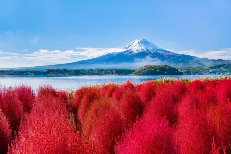 Tokyo: Mt. Fuji, Arakurayama Sengen Park, Oshino Hakkai Tour - Who Will Love This Tour?