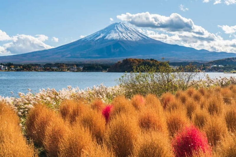 Tokyo: Mt. Fuji, Arakurayama Sengen Park, Oshino Hakkai Tour - FAQ