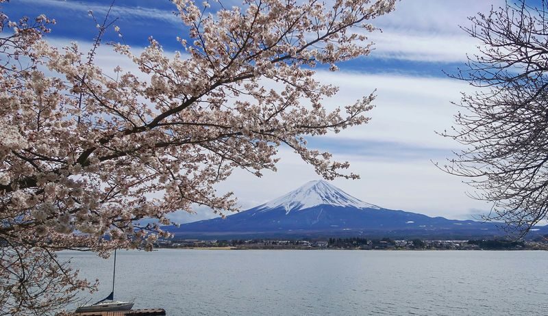 Tokyo Mt. Fuji Full-Day Private Customizable Tour - Key points before you book