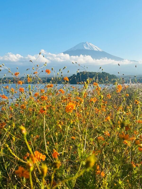 Tokyo Mt. Fuji Full-Day Private Customizable Tour - Early starts, traffic, and the weather gamble