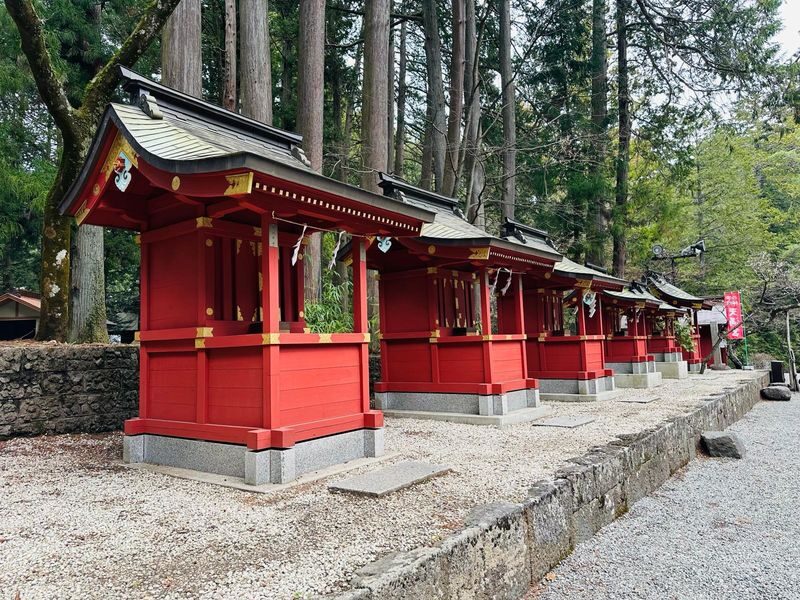 Tokyo Mt. Fuji Full-Day Private Customizable Tour - What $394.70 buys, and when the value adds up