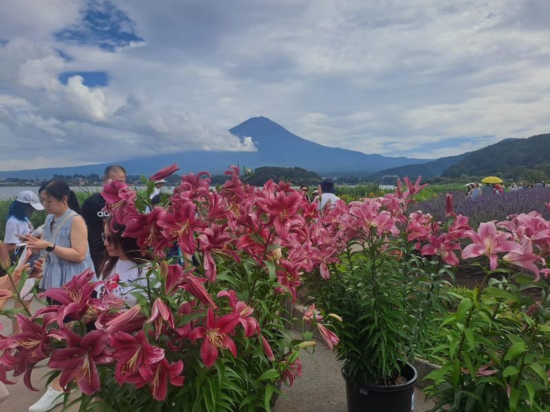 Tokyo Mt. Fuji Full-Day Private Customizable Tour - Who should book this Mount Fuji day trip?