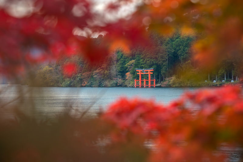 Tokyo: Mt Fuji & Hakone 6 Spots Tour w/ Bullet Train - The day at a glance