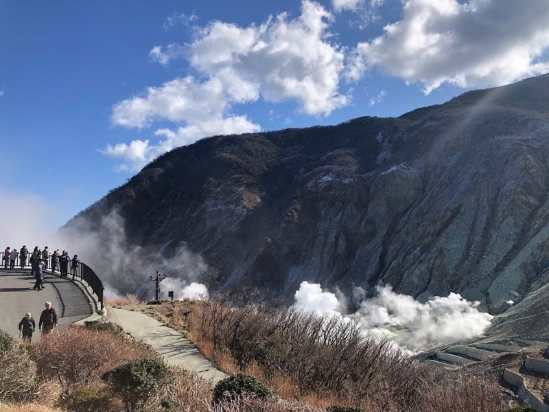 Tokyo: Mt Fuji & Hakone 6 Spots Tour w/ Bullet Train - Hakone Ropeway and Owakudani: the volcanic high point