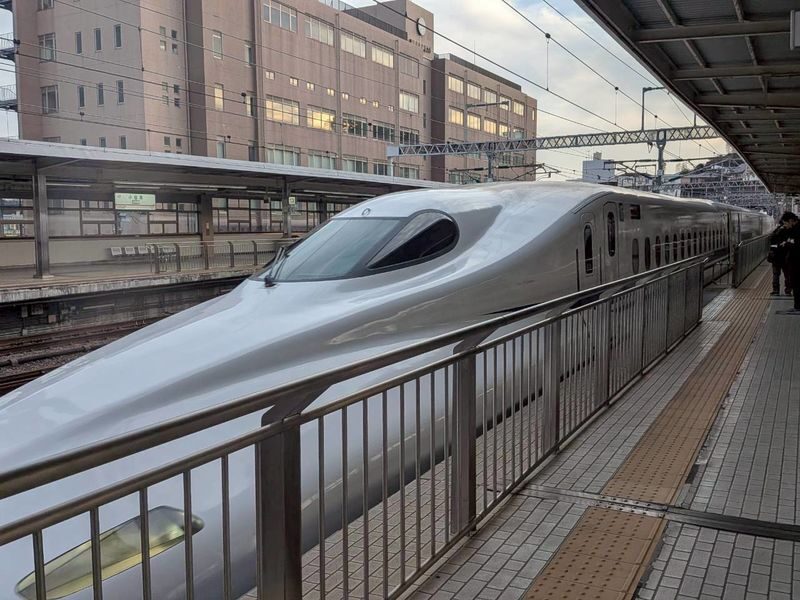 Tokyo: Mt Fuji & Hakone 6 Spots Tour w/ Bullet Train - What to know before you book