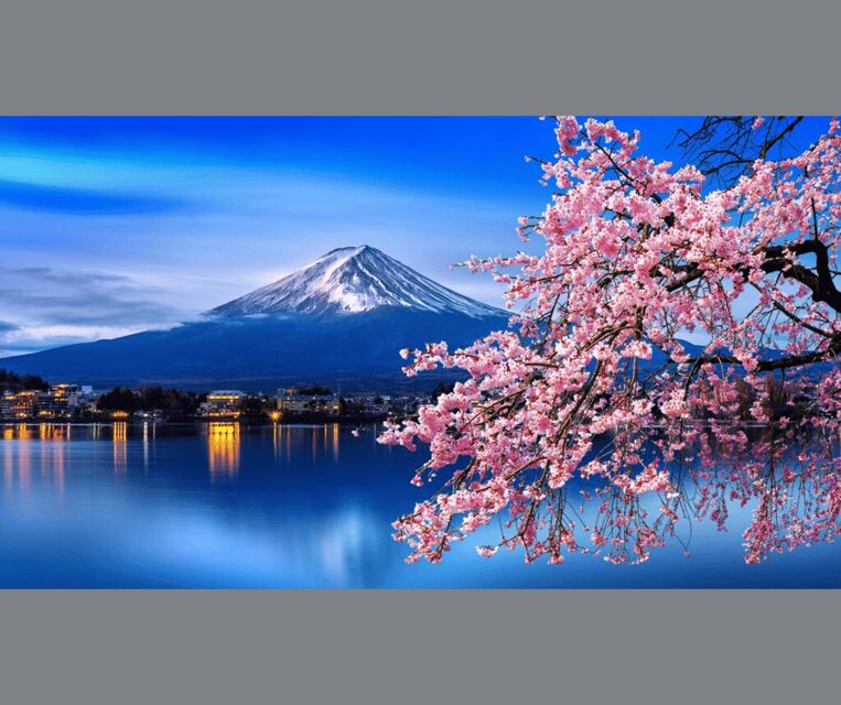 Tokyo: Mt. Fuji & Hakone Cherry Blossoms Private Day Tour - Detailed Breakdown of the Experience