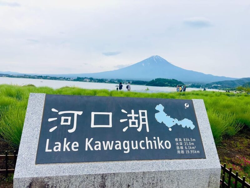 Tokyo: Mt. Fuji & Hakone Cherry Blossoms Private Day Tour - FAQ