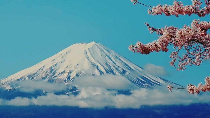 Tokyo Mt. Fuji & Hakone Full-Day Cruise Tour - What to know before you book