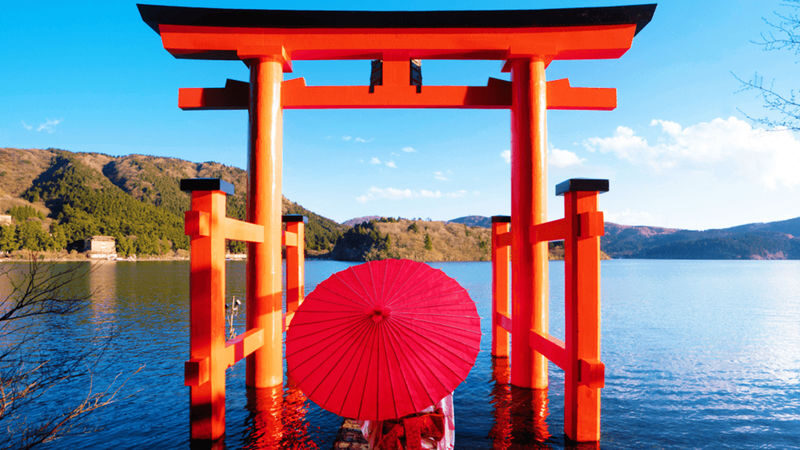 Tokyo Mt. Fuji & Hakone Full-Day Cruise Tour - A full day built around Hakone and Fuji
