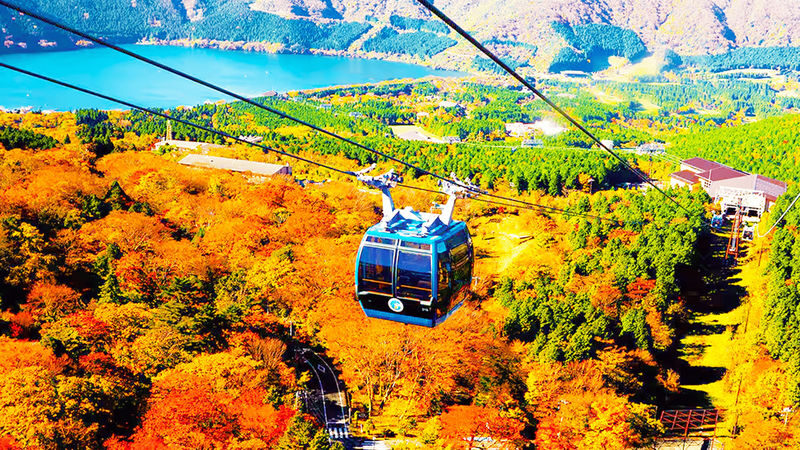 Tokyo Mt. Fuji & Hakone Full-Day Cruise Tour - The ropeway: scenery from above