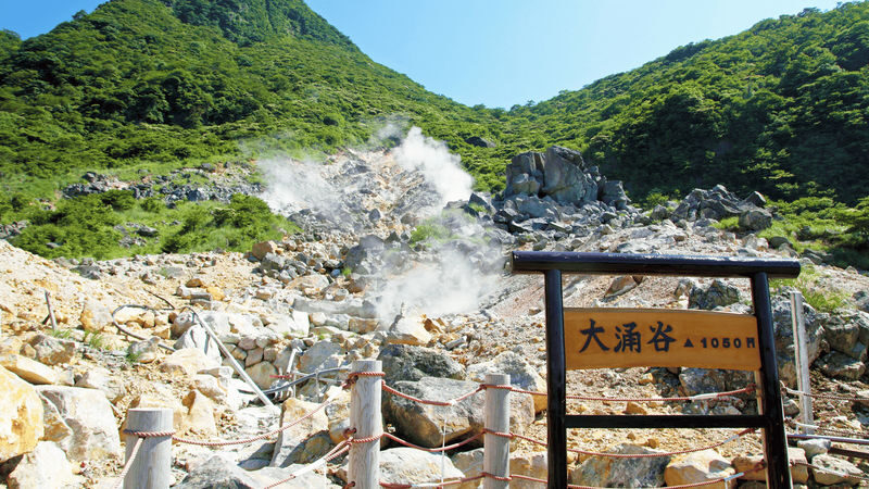 Tokyo Mt. Fuji & Hakone Full-Day Cruise Tour - The cruise: Hakone from the water
