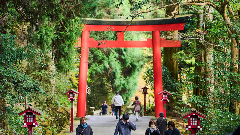 Tokyo Mt. Fuji & Hakone Full-Day Cruise Tour - The Fuji viewpoint: a bonus, not a guarantee