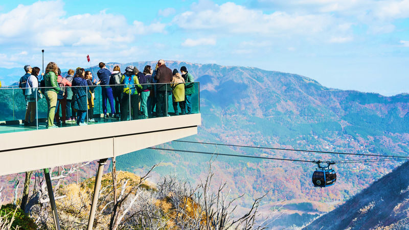 Tokyo Mt. Fuji & Hakone Full-Day Cruise Tour - What the $65.95 starting price tells you