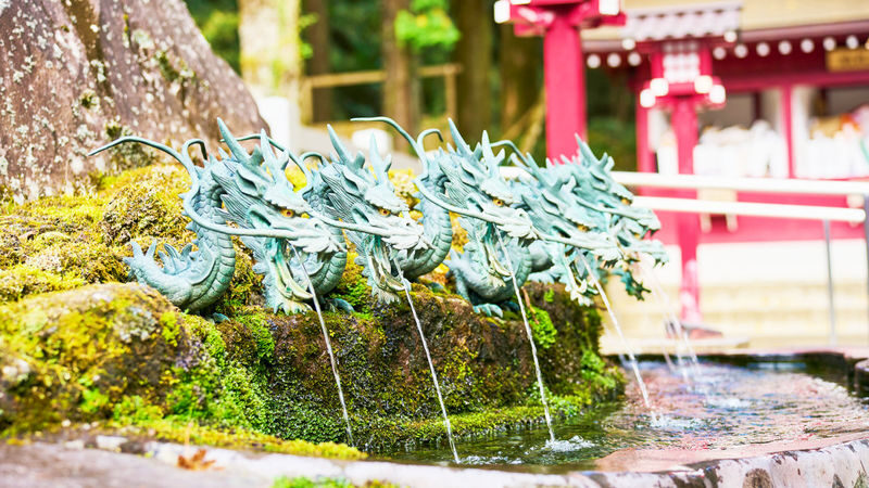 Tokyo Mt. Fuji & Hakone Full-Day Cruise Tour - Should you book the Tokyo Mt. Fuji and Hakone tour?
