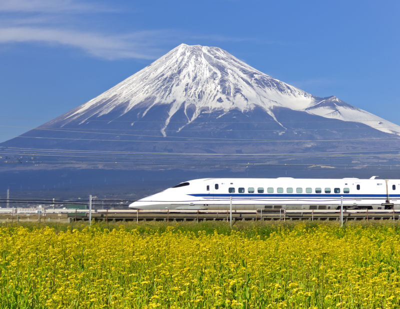 Tokyo Mt. Fuji & Hakone Full-Day Guided Tour - At a glance