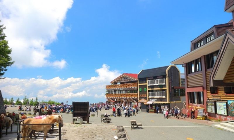 Tokyo Mt. Fuji & Hakone Full-Day Guided Tour - Is the price good value?