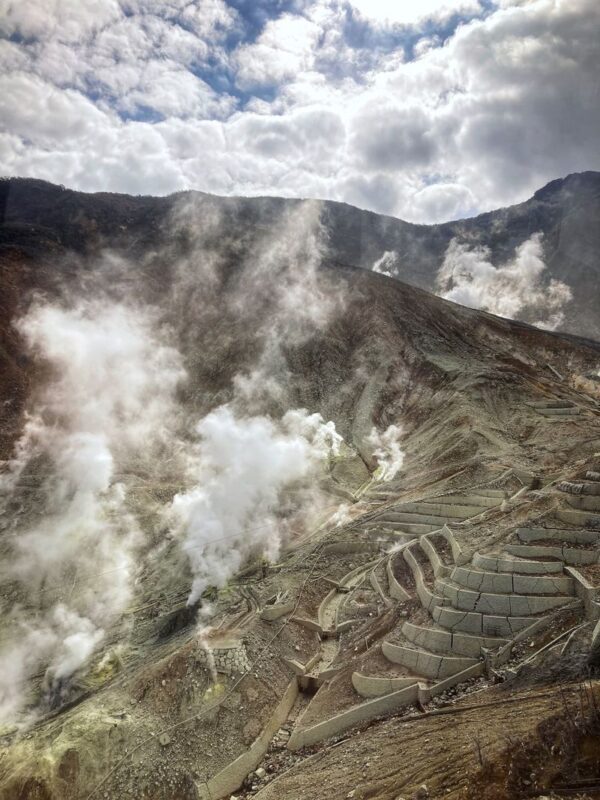 Tokyo Mt. Fuji & Hakone Full-Day Guided Tour - Who should book this day trip?