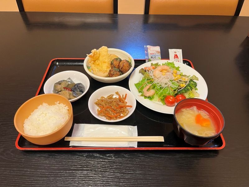 Tokyo Mt. Fuji & Hakone Full-Day Guided Tour - Should you book it?