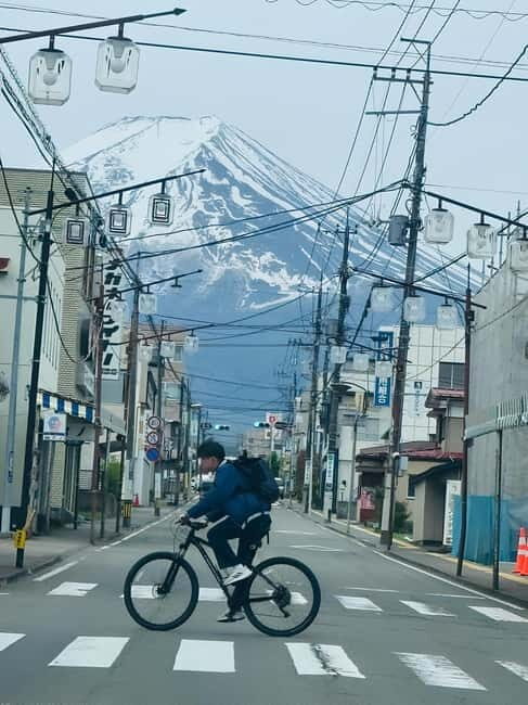 Tokyo: Mt. Fuji & Hakone Private Custom Tour English Driver - A Deep Dive into Your Private Mount Fuji & Hakone Experience