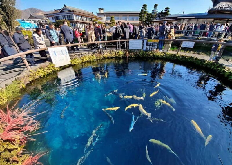 Tokyo: Mt. Fuji & Hakone Private Custom Tour English Driver - FAQs