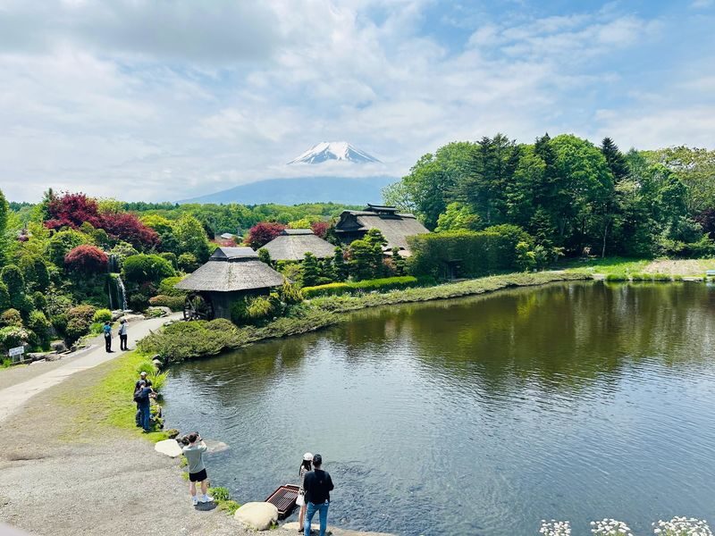 Tokyo Mt. Fuji & Hakone Private Customizable Day Tour - A private day trip, not a fixed bus route