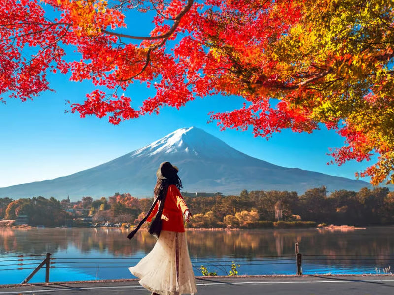 Tokyo Mt. Fuji & Hakone Private Customizable Day Tour - Starting early for clearer views and calmer stops