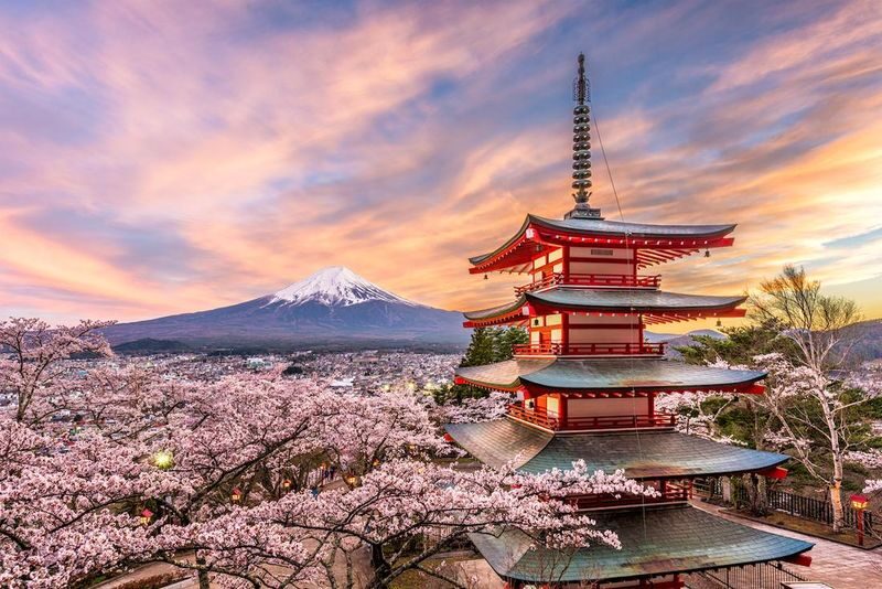 Tokyo Mt. Fuji & Hakone Private Customizable Day Tour - The driver may shape the day more than the vehicle