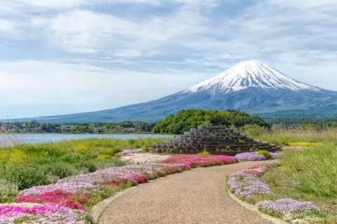 Tokyo Mt. Fuji & Hakone Private Customizable Day Tour - Comfort, family needs, and vehicle fit