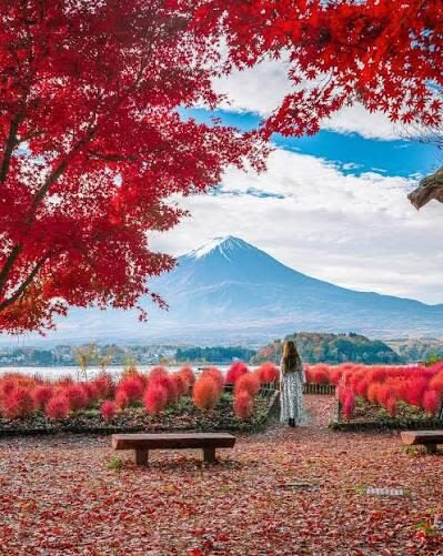 Tokyo Mt. Fuji & Hakone Private Customizable Day Tour - What the price does and does not cover