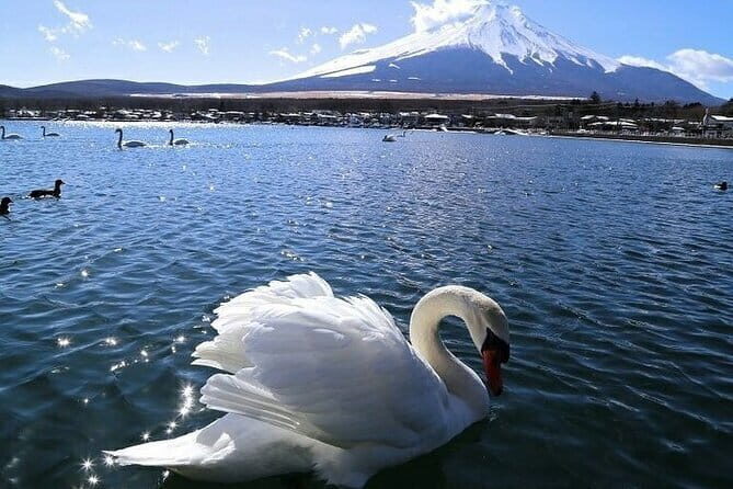 Tokyo Mt. Fuji Hakone Shrine, Owakudani, Lake Yamanakai Day Tour - What Reviewers Say
