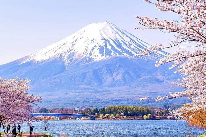 Tokyo Mt. Fuji Hakone Shrine, Owakudani, Lake Yamanakai Day Tour - Who Will Enjoy This Tour?