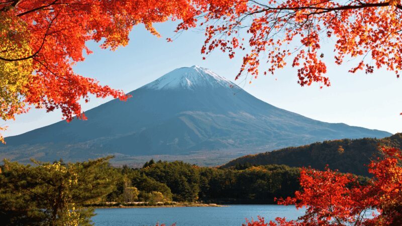 Tokyo: Mt. Fuji Hidden Gems and Aokigahara Forest Tour - A Thorough Look at the Itinerary and What You Can Expect
