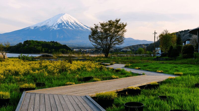 Tokyo: Mt. Fuji Hidden Gems and Aokigahara Forest Tour - Frequently Asked Questions