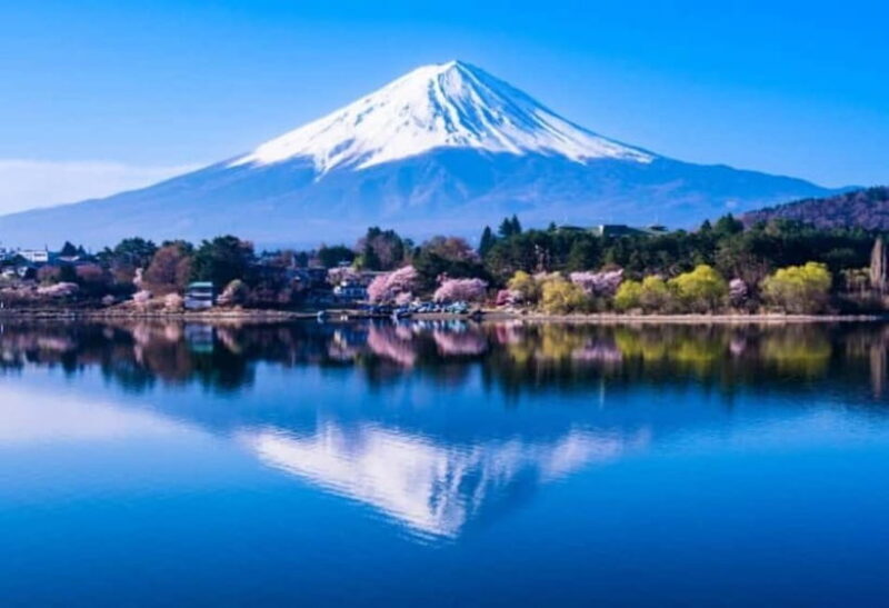 Tokyo: Mt. Fuji Highlights Tour with Lake Kawaguchi Cruise - Who Should Consider This Tour?