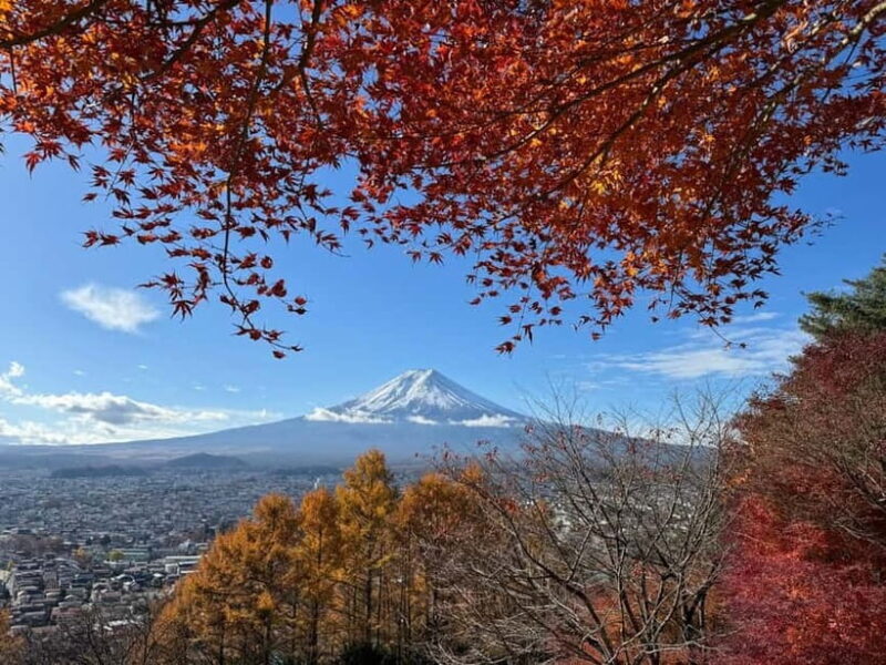 Tokyo: Mt. Fuji Highlights Tour with Lake Kawaguchi Cruise - Key Points
