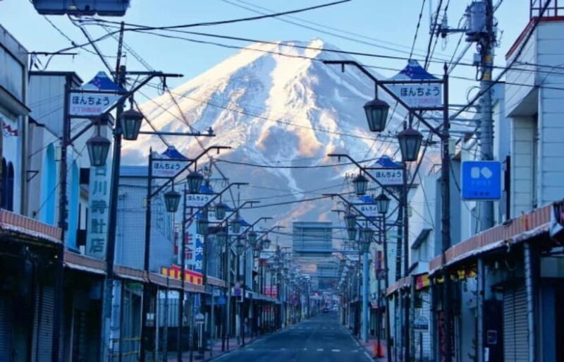 Tokyo: Mt. Fuji Highlights Tour with Lake Kawaguchi Cruise - The Sum Up