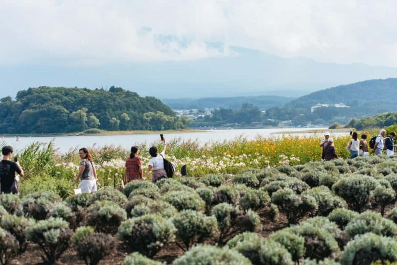 Tokyo: Mt. Fuji, Kamakura, Big Buddha, & Lake Ashi Day Trip - Oshino Hakkai: Japan’s Springtime Sanctuary