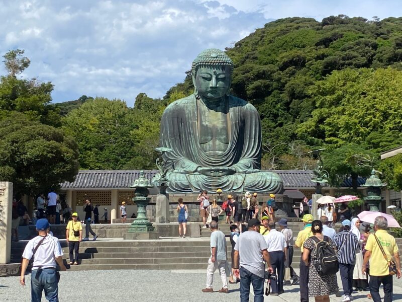 Tokyo: Mt. Fuji, Kamakura, Big Buddha, & Lake Ashi Day Trip - Shopping and Food Stops: Optional But Appreciated